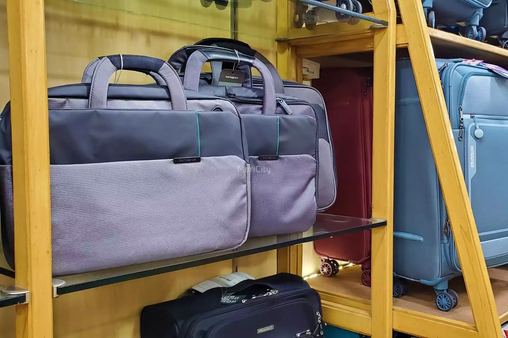 Cary Bag