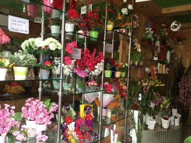 Ferns and petals store near me