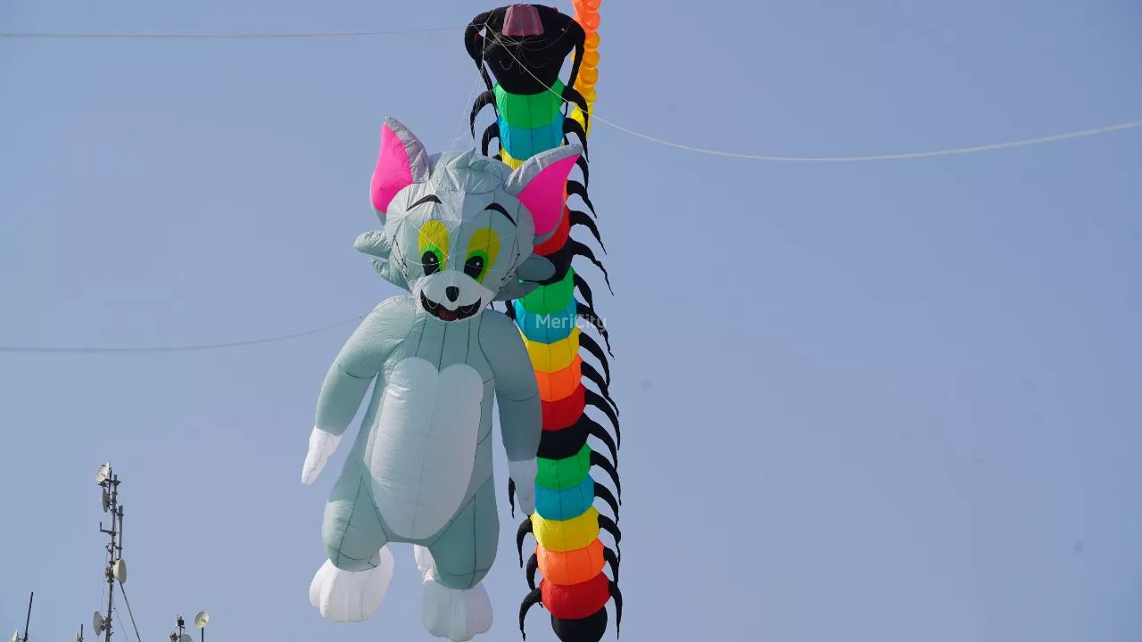 Kite Festival
