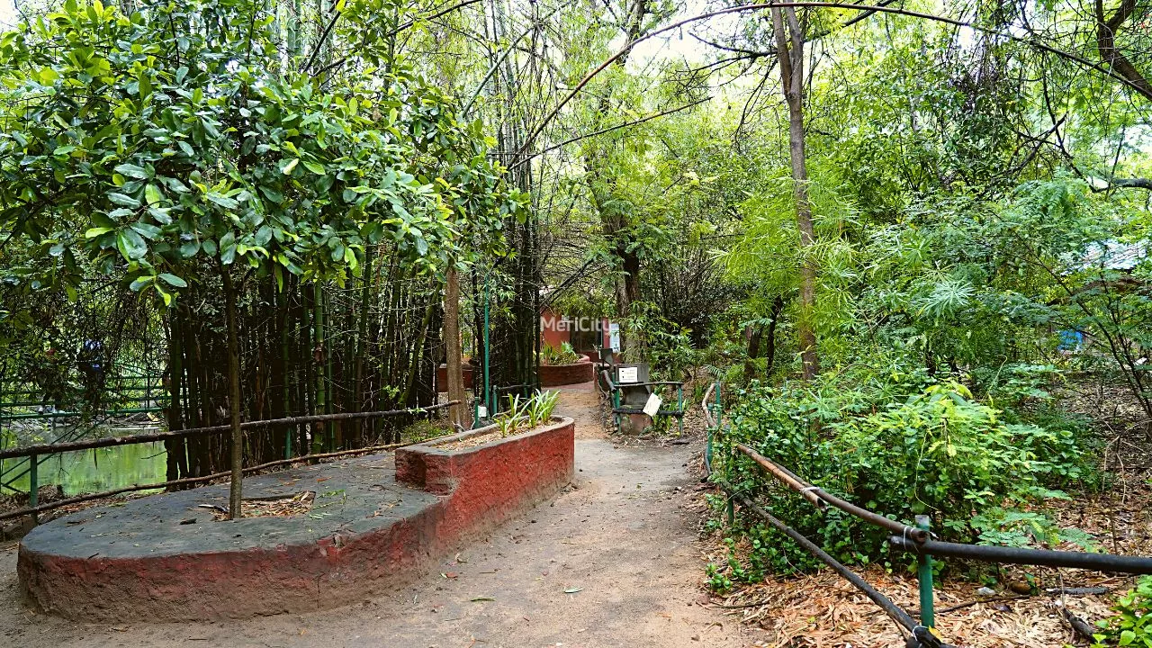 Sundarvan
