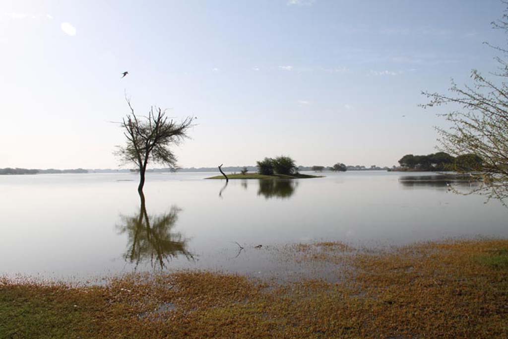 Thol Bird Sanctuary
