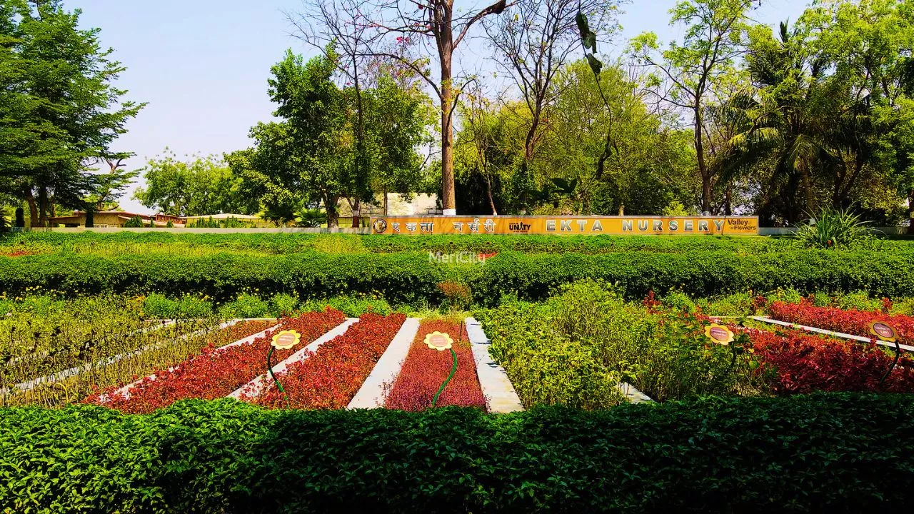 Ekta Nursery, SOU