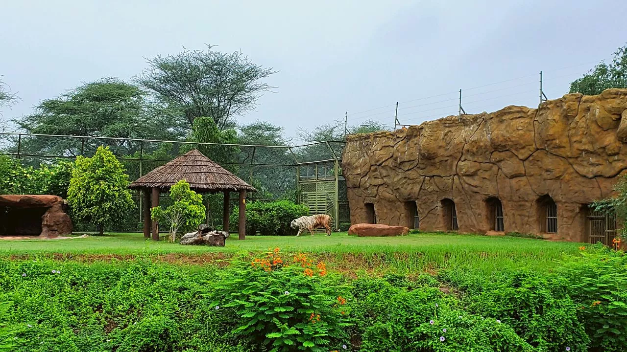 Indroda Nature Park